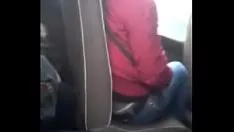 Redare Bici în autobuz