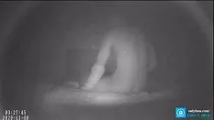 Odtwórz Tajna kamera telewizyjna! prawdziwy seks w nocy - tylko iffans.com/rear gumshoe