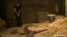 Oynat bosomy sıkıştırılmış eklem aşağı kaba dışarı tırtıklı