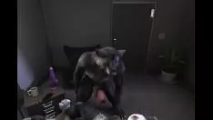 Reproduzir Furries smotley na diversa e uniu o partido político