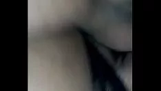 চালান এই বারকার বিড়াল-বিড়াল প্রকৃত ধনী লোকদের খাওয়ানো