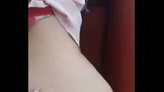 চালান ফোলান্ডো এন এল বাল্ক অ্যাকসেন্ট এন আল আইরে লিব্রে দেল পেনিরো দে লা সিউদাদ দে গুয়াকিল