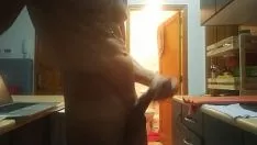 再生 ポラルダ カナリア