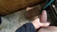 Reproduzir Eu estou ocupada (todos eles, menos me veem)