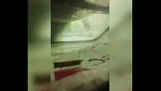 Putar Anexo ave f&eacute aksen;nix 4