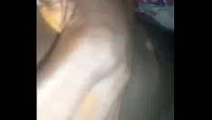 تشغيل مرهق للأعصاب لإيقاظ حدوتي
