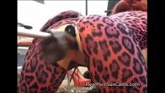 再生 Zanzibar copalrstakermissy 取得 ファック バイ ディルド オン real numberpornosexcams.com
