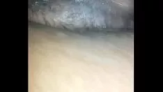 চালান ব্ল্যাকেন পেয়ার বেউ চৌ গার্ল কিটি-ক্যাট যতক্ষণ না সে জোর করে আউট করে