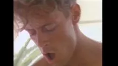 Putar Ashlyn gere mendapat nervus facialis dari rocco siffredi