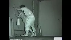 Reproducir mirón tom11