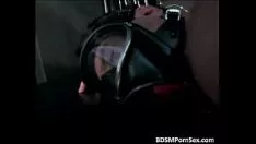 Reproduzir Cara com chifres ama na selva bunda viva