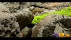 Reproducir Fantasear amasar 09549