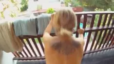 تشغيل تسجيل فيديو من بوف تجميع