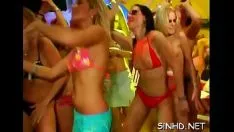Oynat Göksel kedicikler ve jockstraps dağıtılır duencircle sarhoş şenlikli siyasi parti