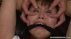 Oynat Esaret Esaret! Busty Asyalı Babe Kinky Boys tarafından El yordamıyla Dürtülendi ve Becerdin