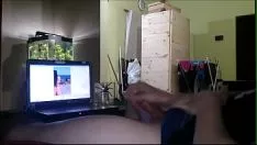 Jouer Agréable galicien séparé 3