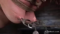 Reproducir Bosomy red-header sostiene la remoción temporal de hogtie