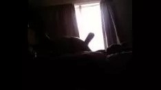 Play Pappa ploughs champions bbw mom